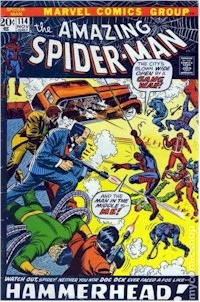 Amazing Spider-Man 114 - for sale - mycomicshop